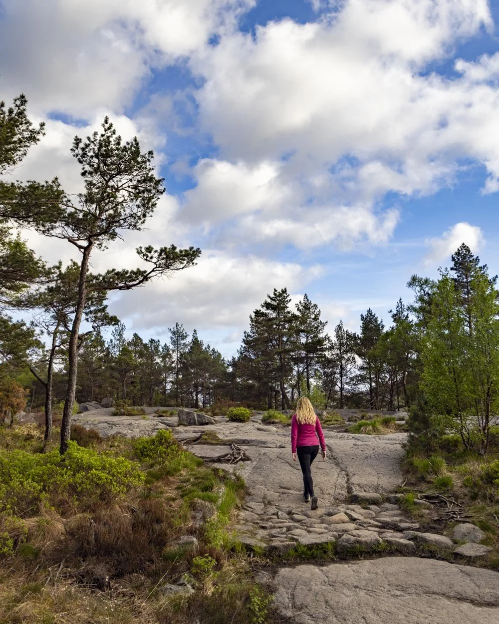 Pulpit rock hike