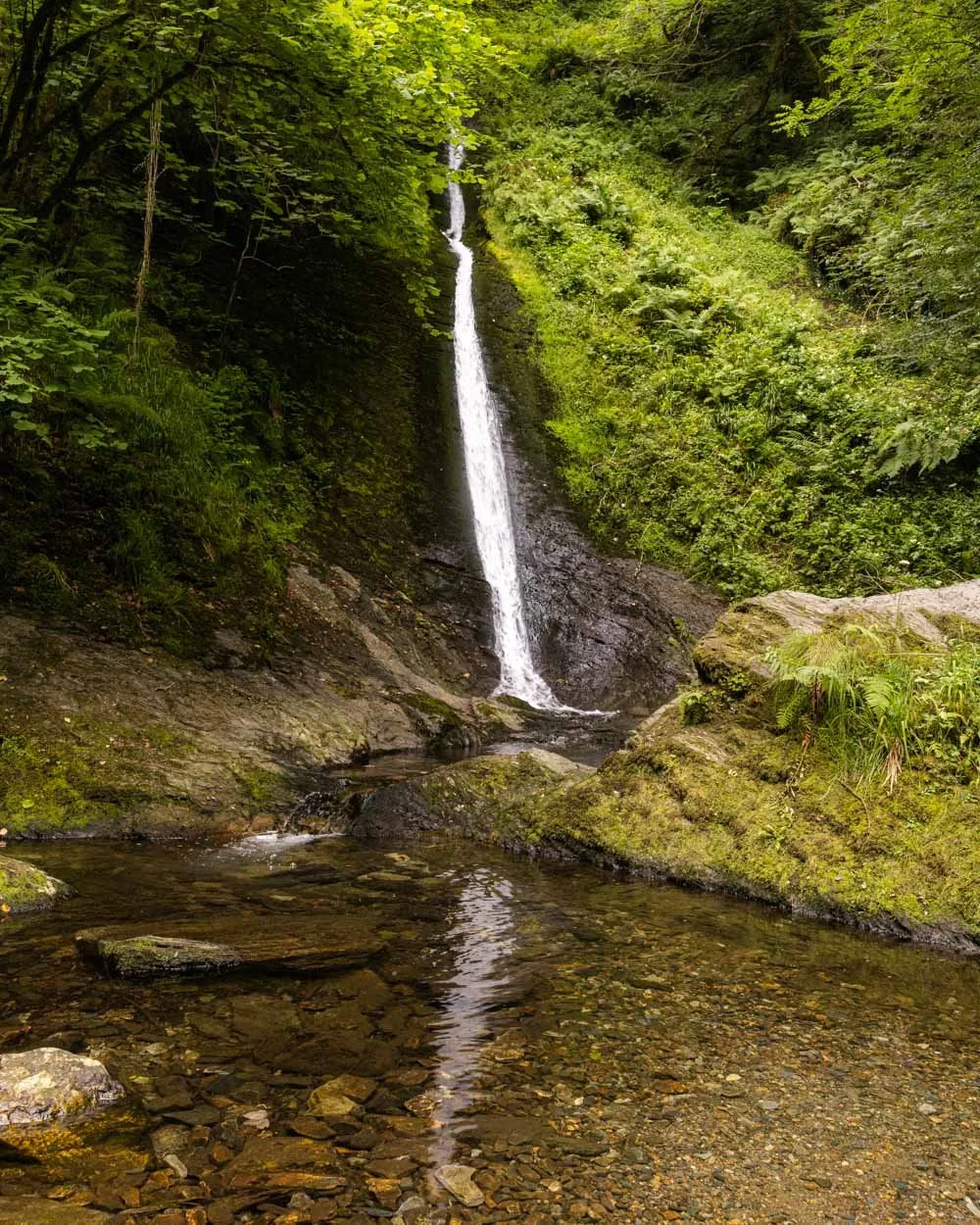 Sharragh Pool 20 incredible things to do in Dartmoor including hidden gems — Walk My ...