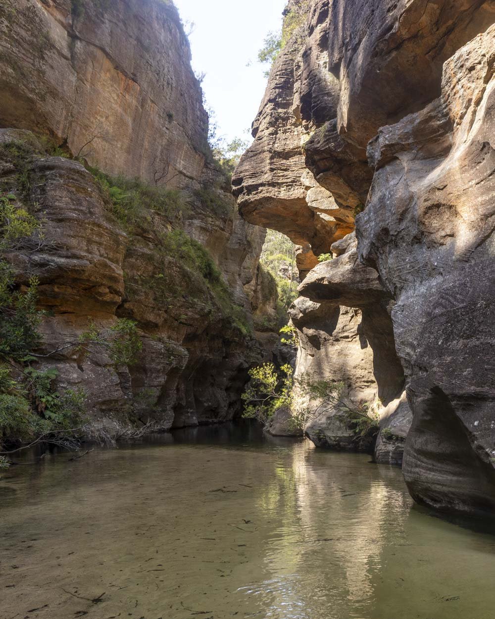 Wollangambe Canyon One