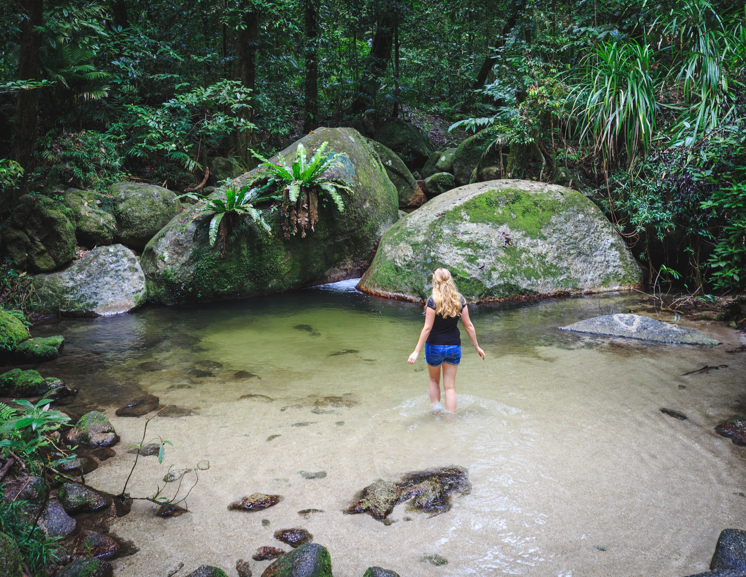Mossman Gorge