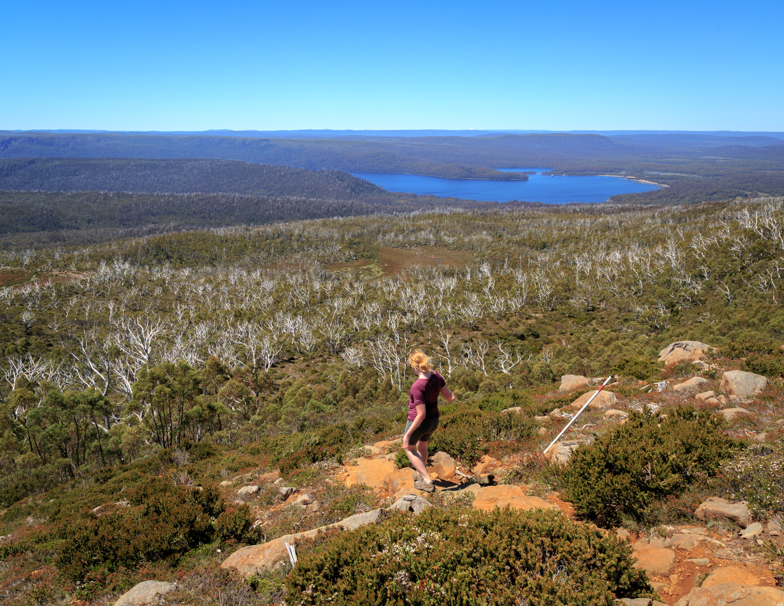 The view of Lake St Clair from Mt Rufus