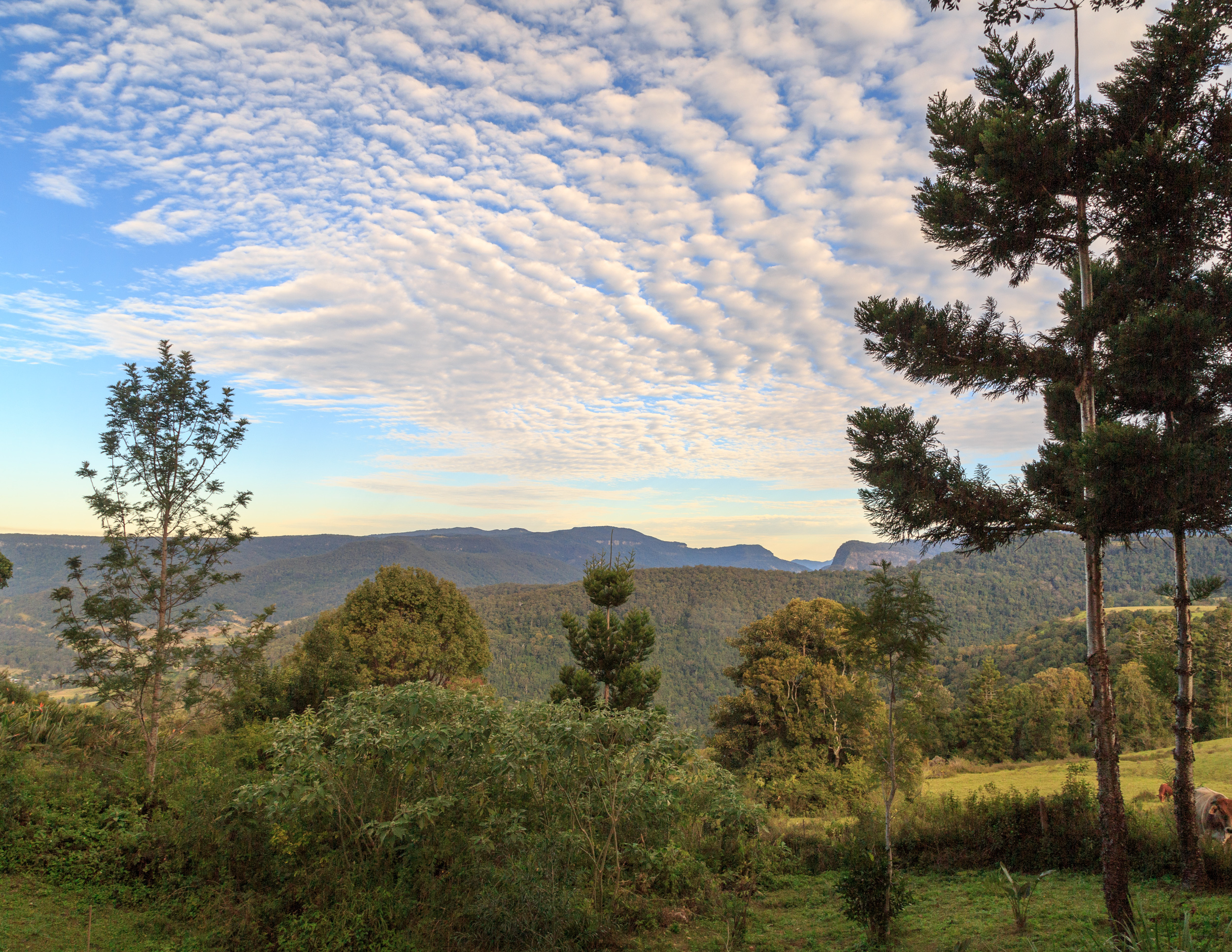 The view from Cloud Safari