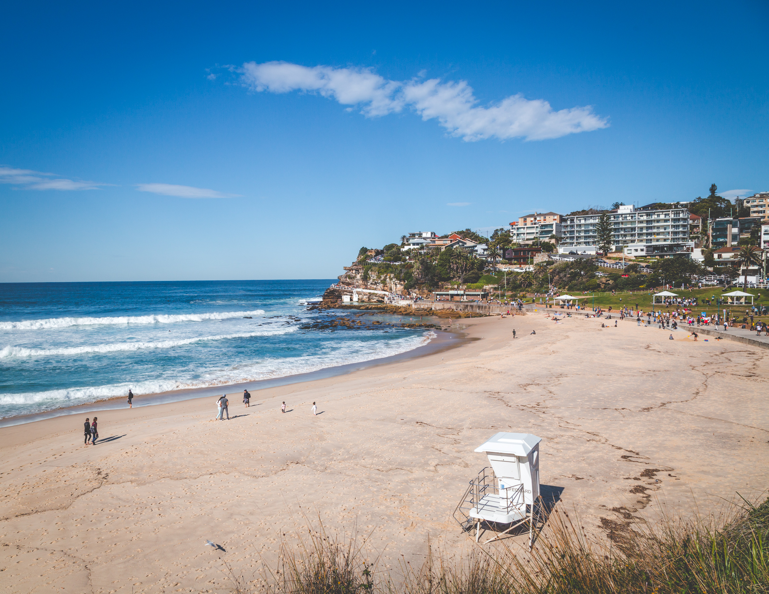 Cheap things to do in Sydney: Bondi to Coogee Walk
