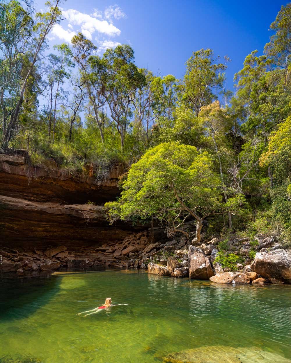 sandy creek