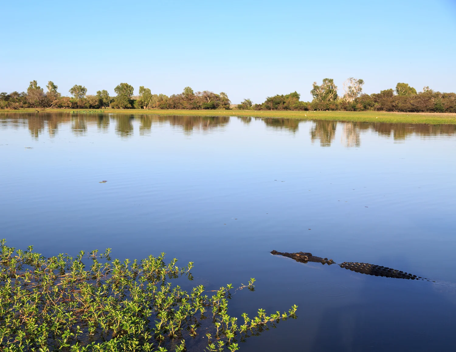 The best things to do in Kakadu: Yellow Water Cruises
