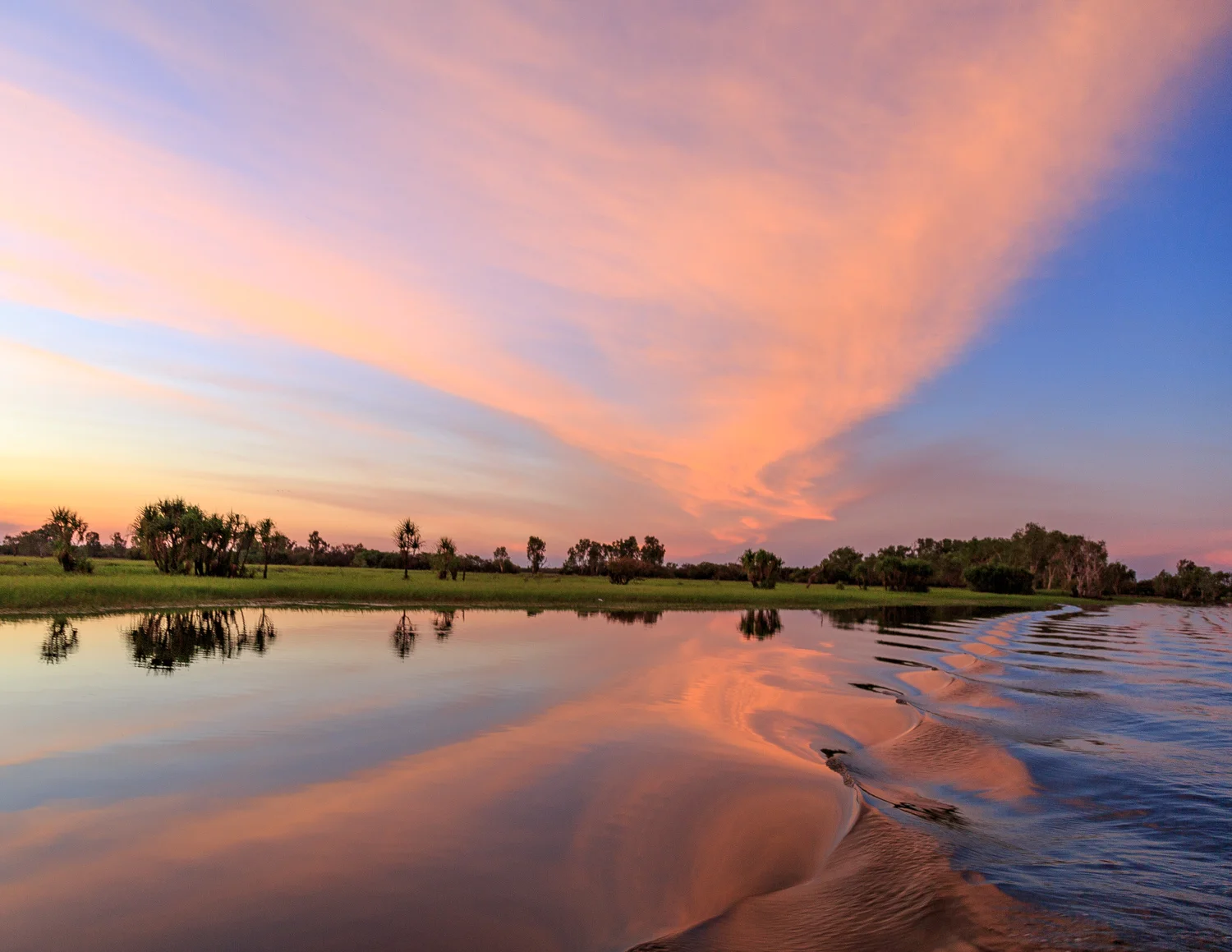The best things to do in Kakadu: Yellow Water Cruises