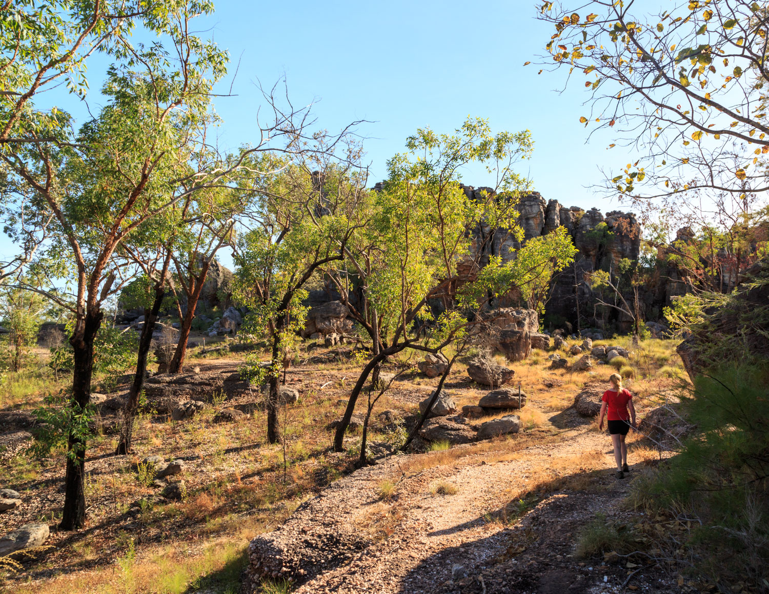 The best things to do in Kakadu: Barrk Walk