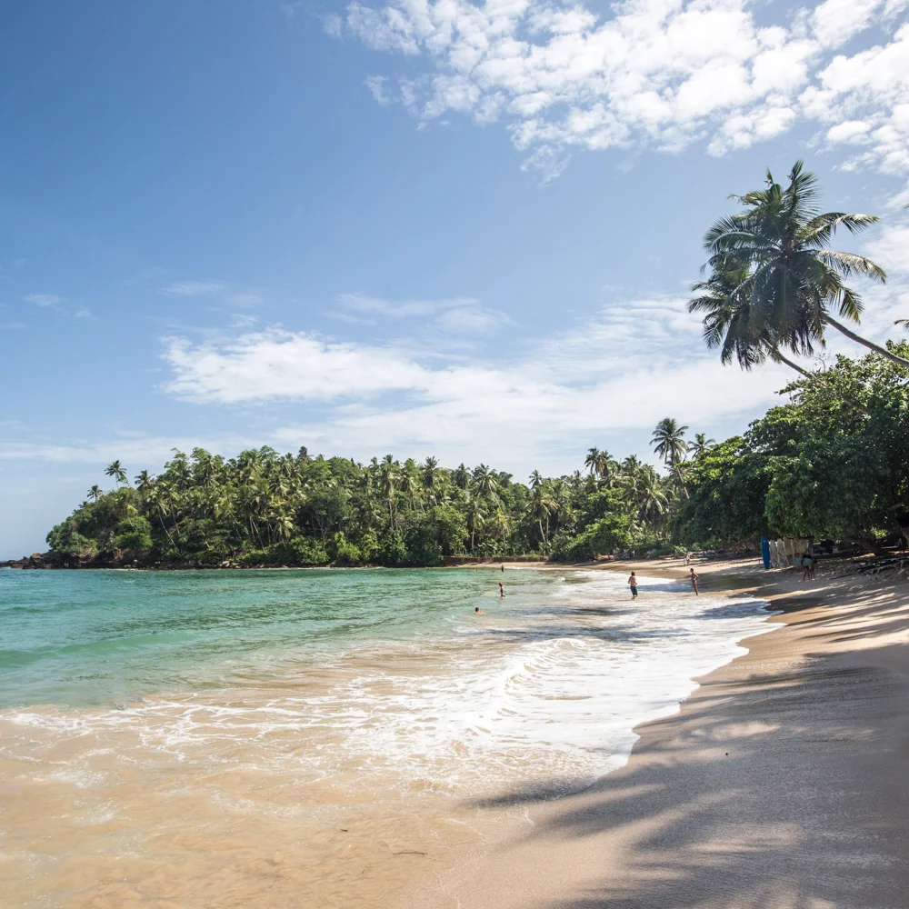 The best things to do in Mirissa Beach & the South Coast of Sri Lanka ...
