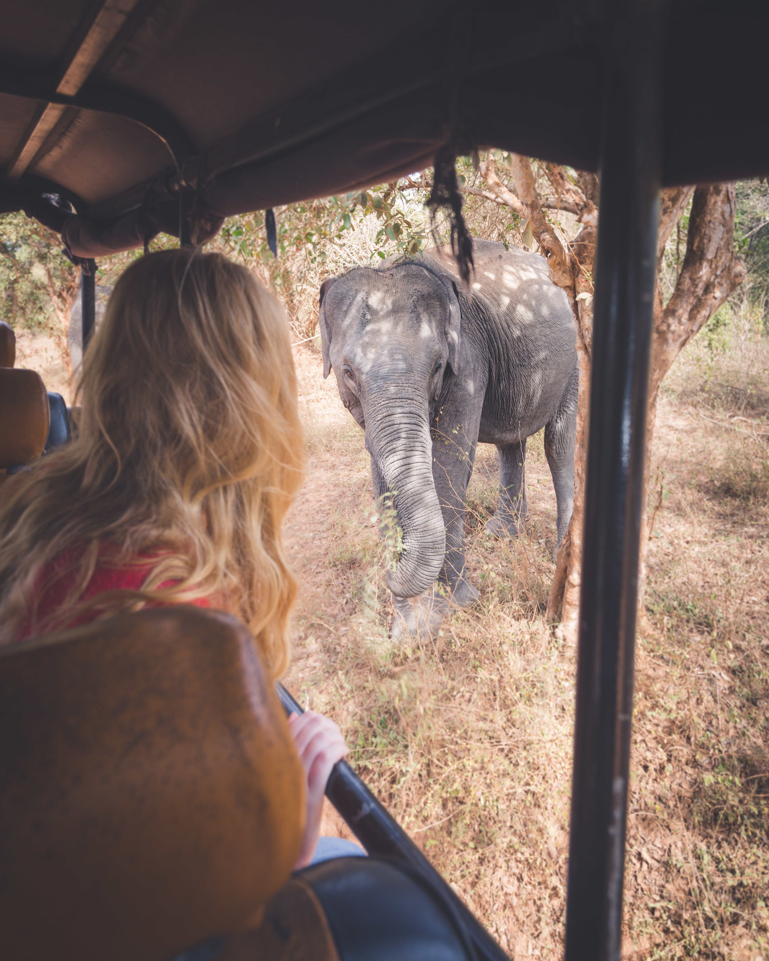 Sri Lanka Itinerary - Yala Safari