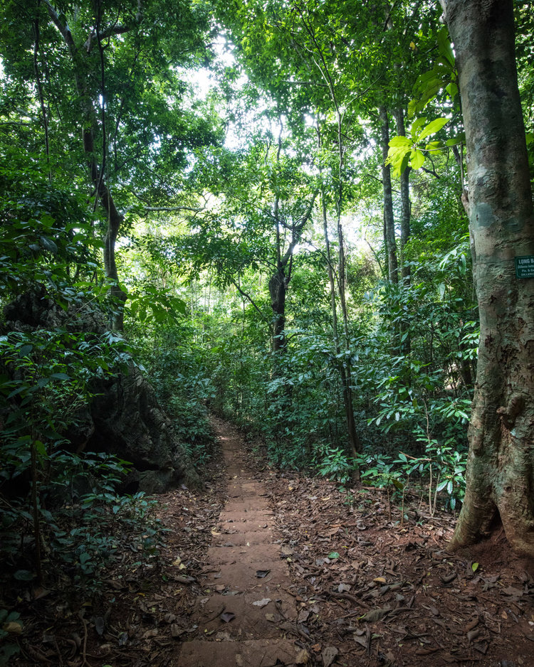 The path to Ngu Lam Peak - Cat Ba Island