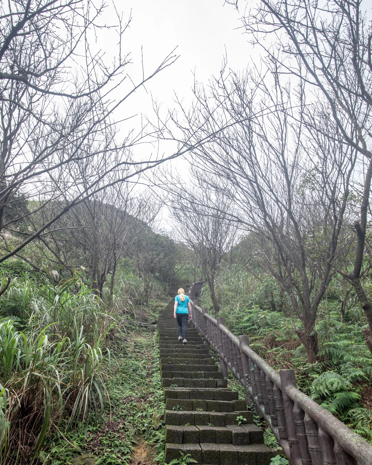 Teapot Mountain An unmissable day hike from Taipei — Walk My World