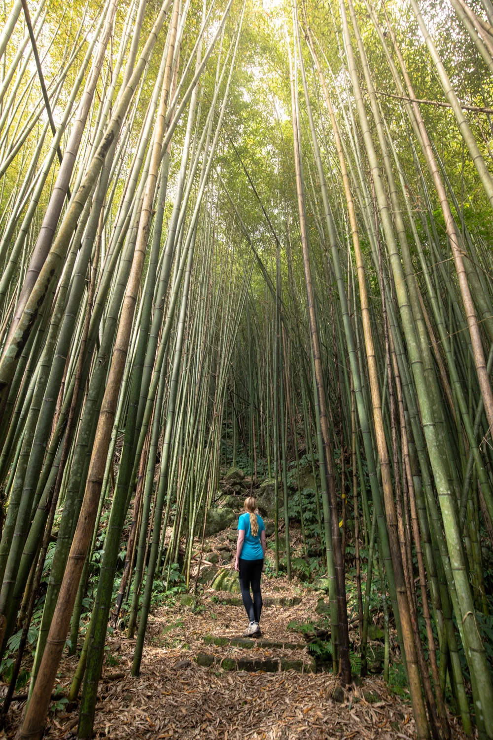 Fenrui Historic Trail Hiking through incredible bamboo forests — Walk My World