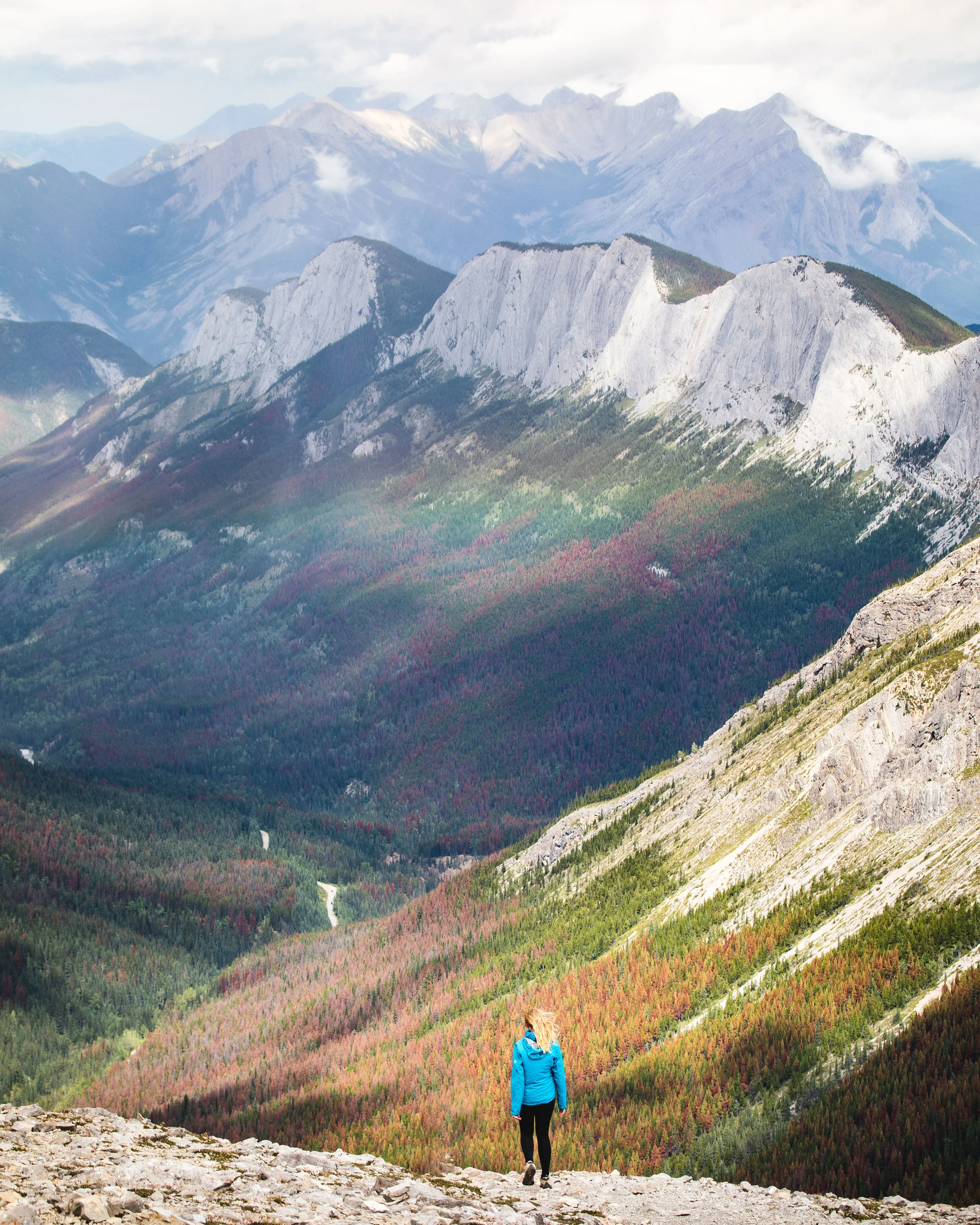 The Sulphur Skyline Trail hiking up to a stunning summit in Jasper