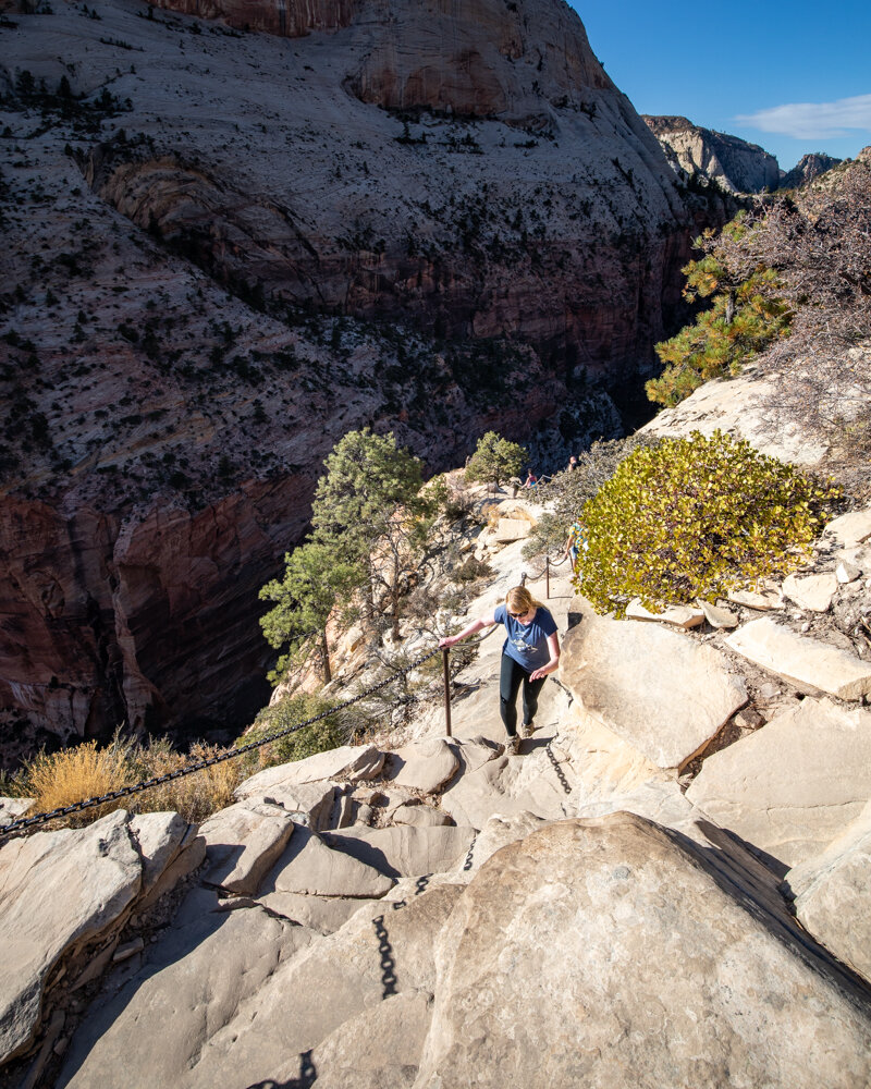 Final Climb on Angels Landing