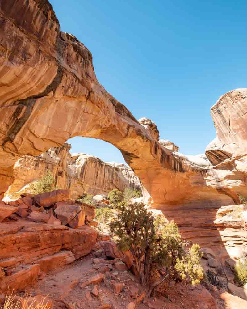 drie Vochtig Socialisme The best Capitol Reef Hikes: how to see these epic trails in 1 day — Walk  My World