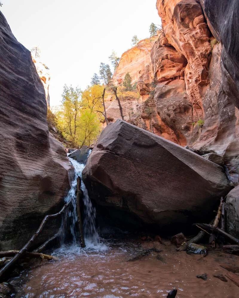 Kanarra Falls Utah's unmissable slot canyon hike — Walk My World