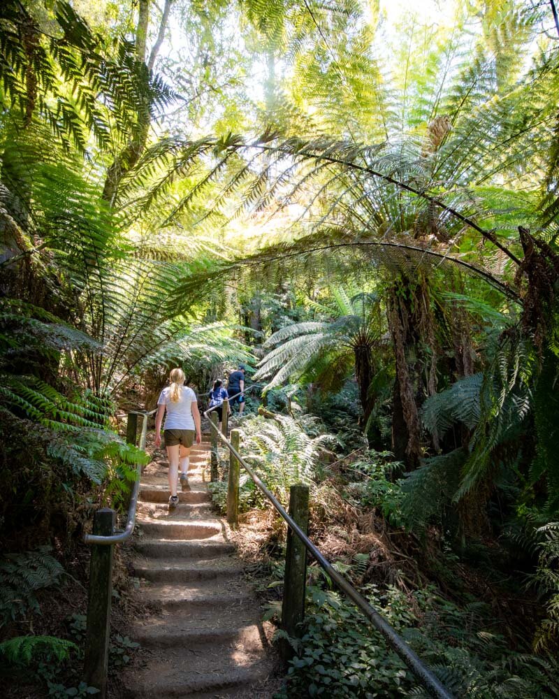 Our favourite Melbourne weekend getaways for nature lovers — Walk My World