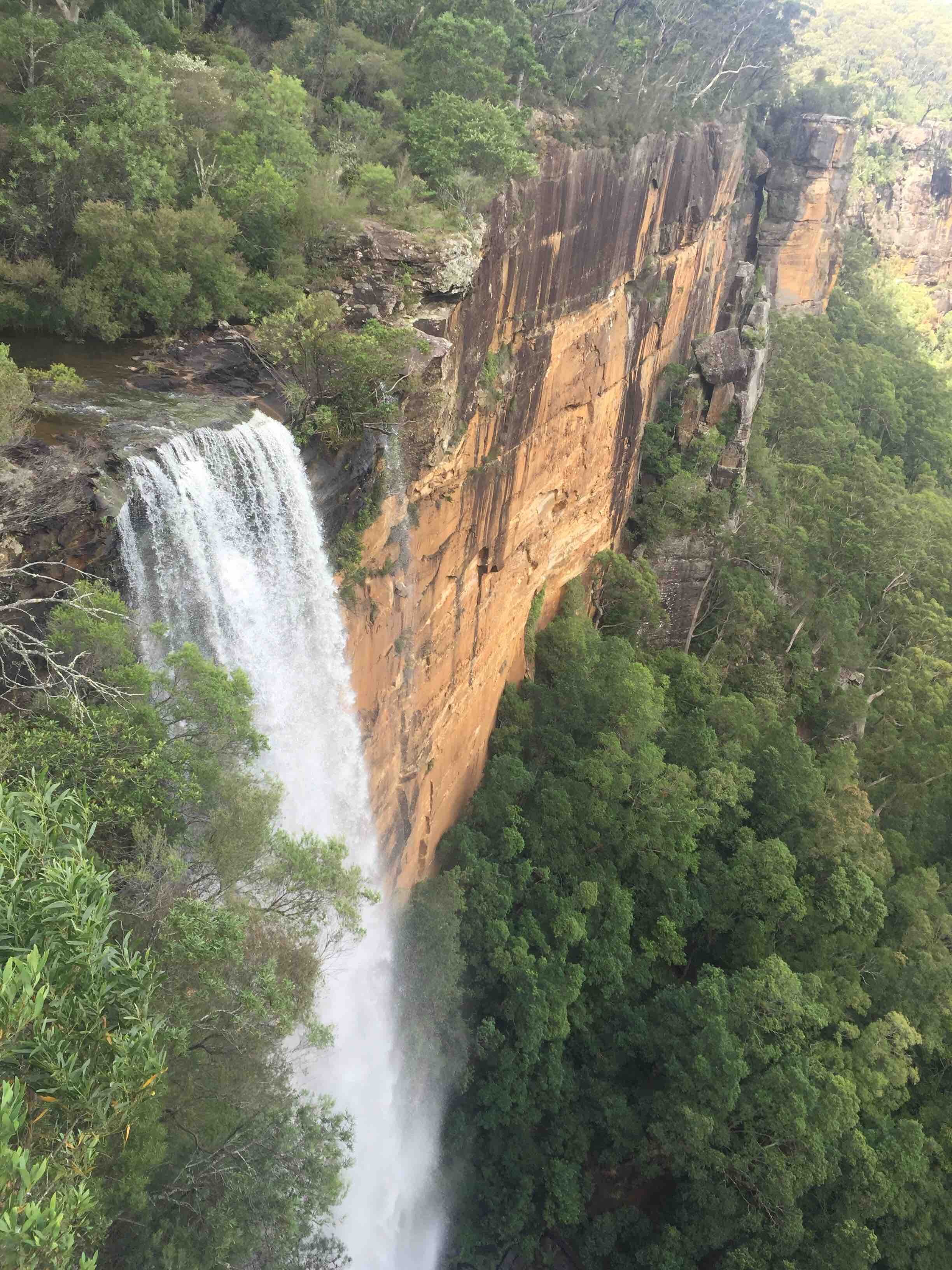 The spectacular Fitzroy Falls