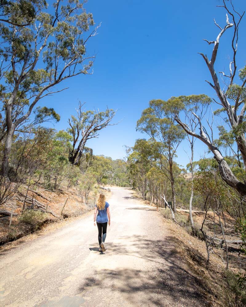 The start of the Werribee Gorge Circuit