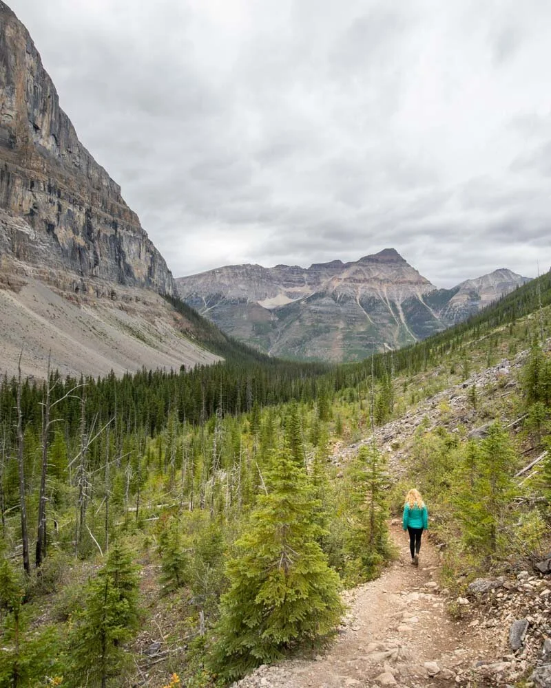 Stanley Glacier Hike An easy trail with stunning views near Banff