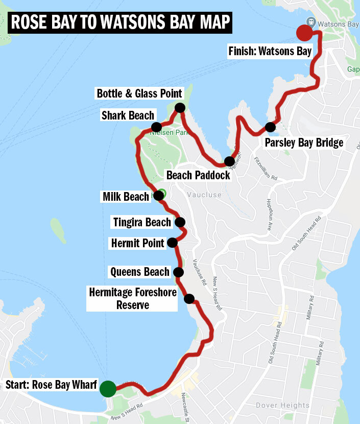 Rose Bay to Watsons Bay Walk: secluded bays and jaw dropping views ...