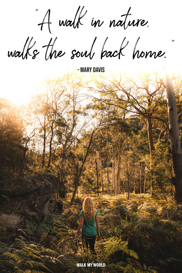 25 Inspirational Hiking Quotes - Best Sayings About Walking in Nature