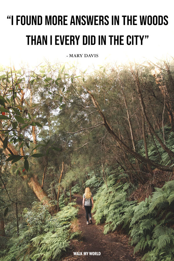 Inspiring Hiking [for Lovers] — Walk My World