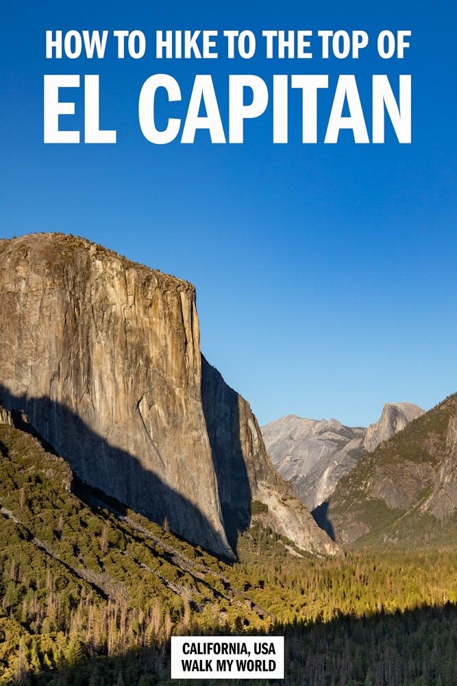 The El Capitan Hike - how to walk to the top of Yosemite's icon — Walk My  World