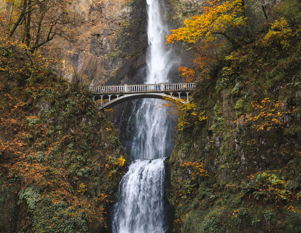 Peaceful river waterfalls, birds chirping, babbling streams