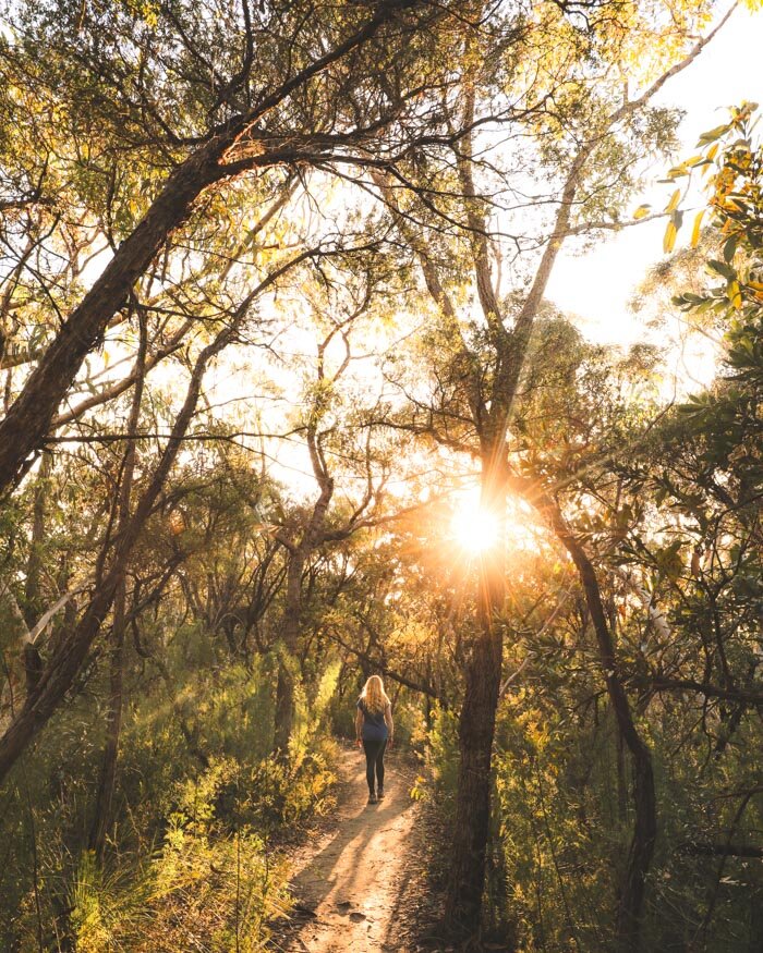 The 10 most beautiful walks in Kuringgai National Park — Walk My World