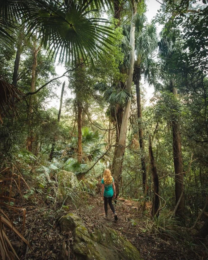 The 10 most beautiful walks in Kuringgai National Park — Walk My World