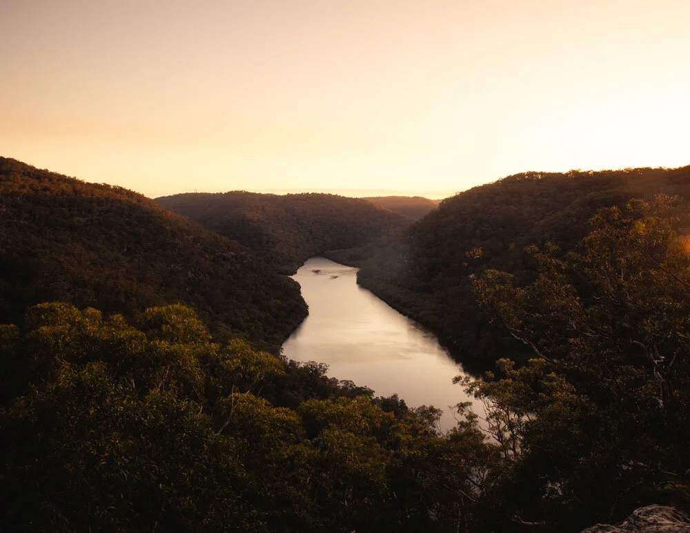Mt Ku-ring-gai to Berowra Walk via Berowra Valley National Park