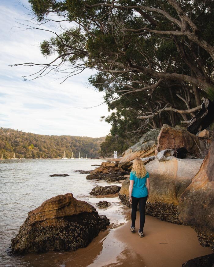 hiking+between+Currawong+and+Basin+campground