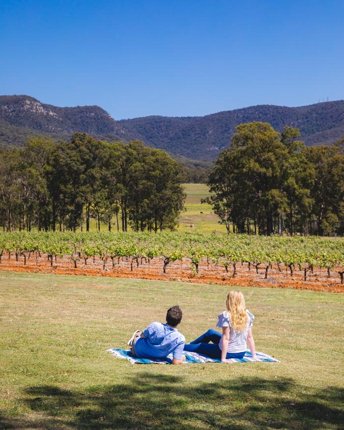 Picnicing at Tyrells - Best things to do in the Hunter Valley