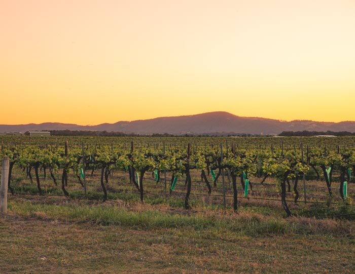 15 Incredible things to do in the Hunter Valley including lots of hidden gems