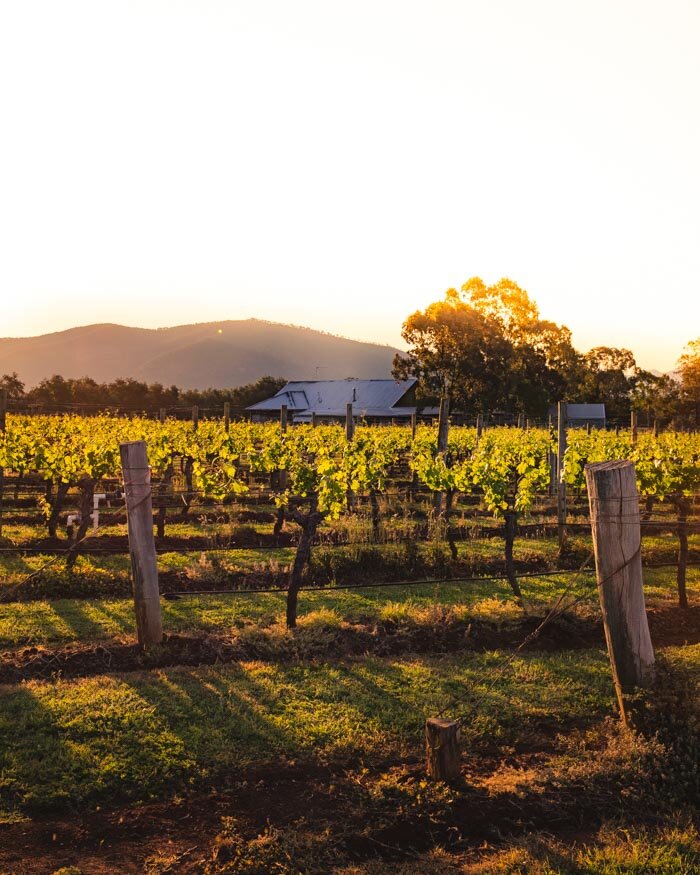 Things to do in the Hunter Valley