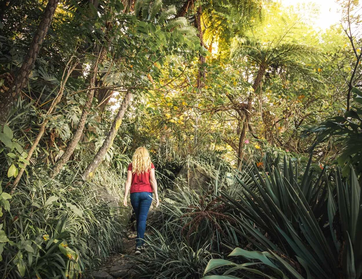 100 Nature Captions which are perfect for your Instagram pics! — Walk My World 100 Nature Captions which are perfect for your Instagram pics! — Walk My World