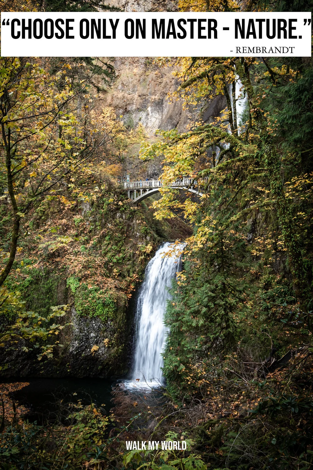 1 Beautiful Nature Captions Which Are Perfect For Your Instagram Pics Walk My World