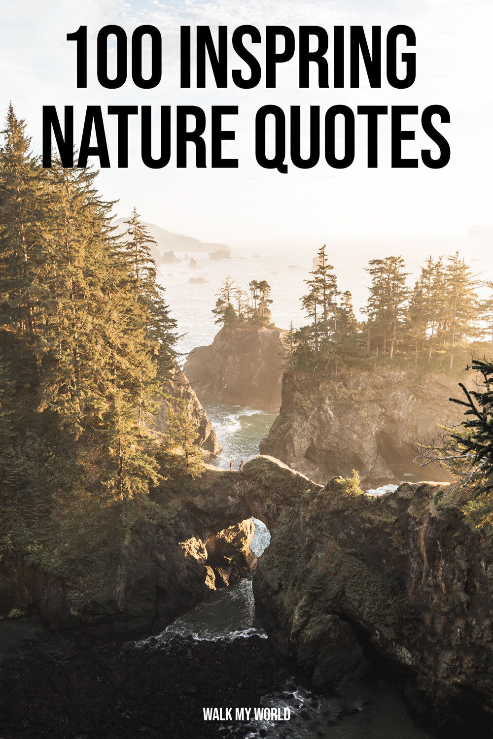 photo essay about nature with captions