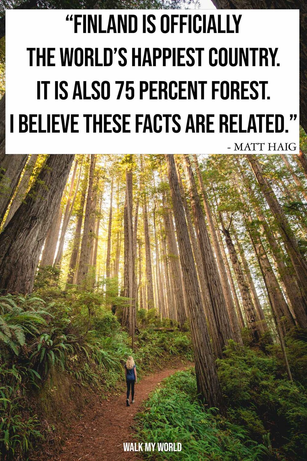 100 Forest Quotes that encapsulate the beauty of the woods — Walk My World