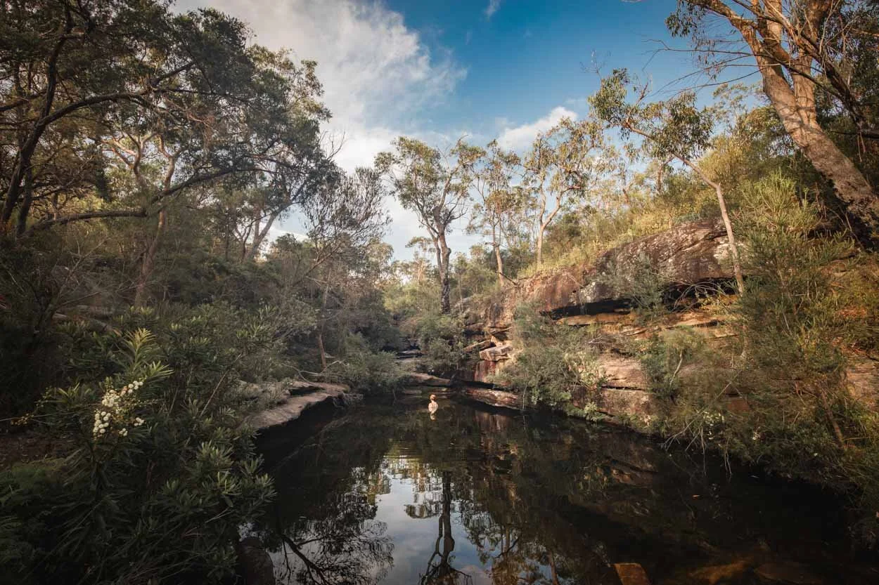Emerald Pool: a stunning wild swimming spot on the Central Coast