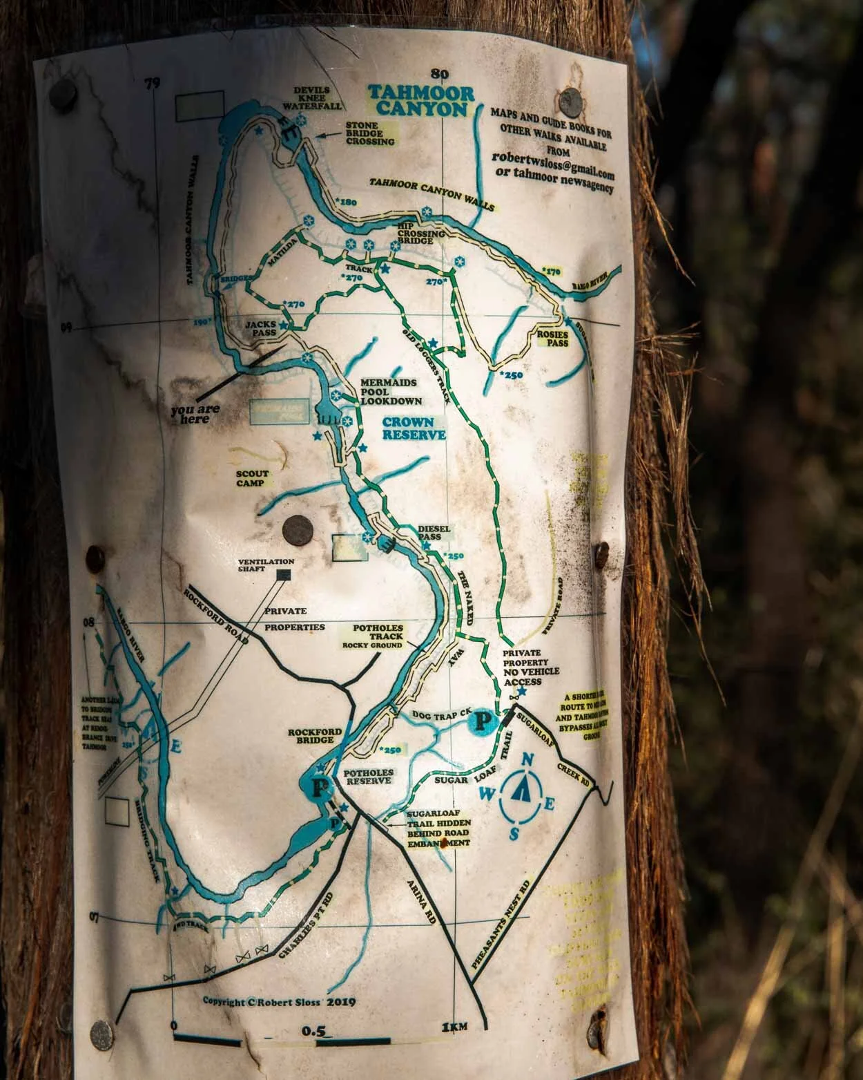 Mermaid Pool and Tahmoor Walk hidden spots and insider tips — Walk My World
