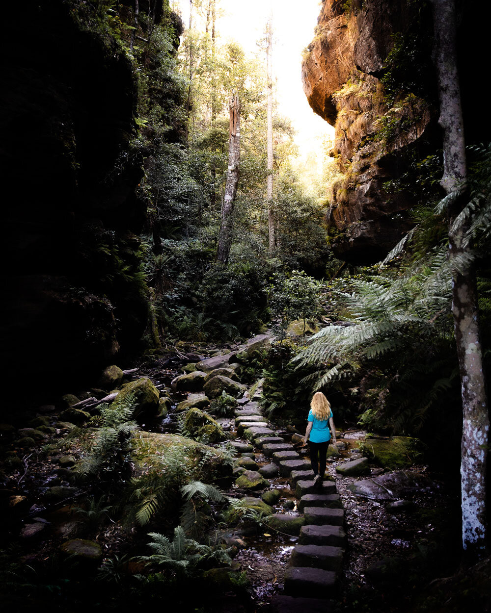 The 22 Best Blue Mountains Walks (Easy - Hard, By Area) — Walk My World
