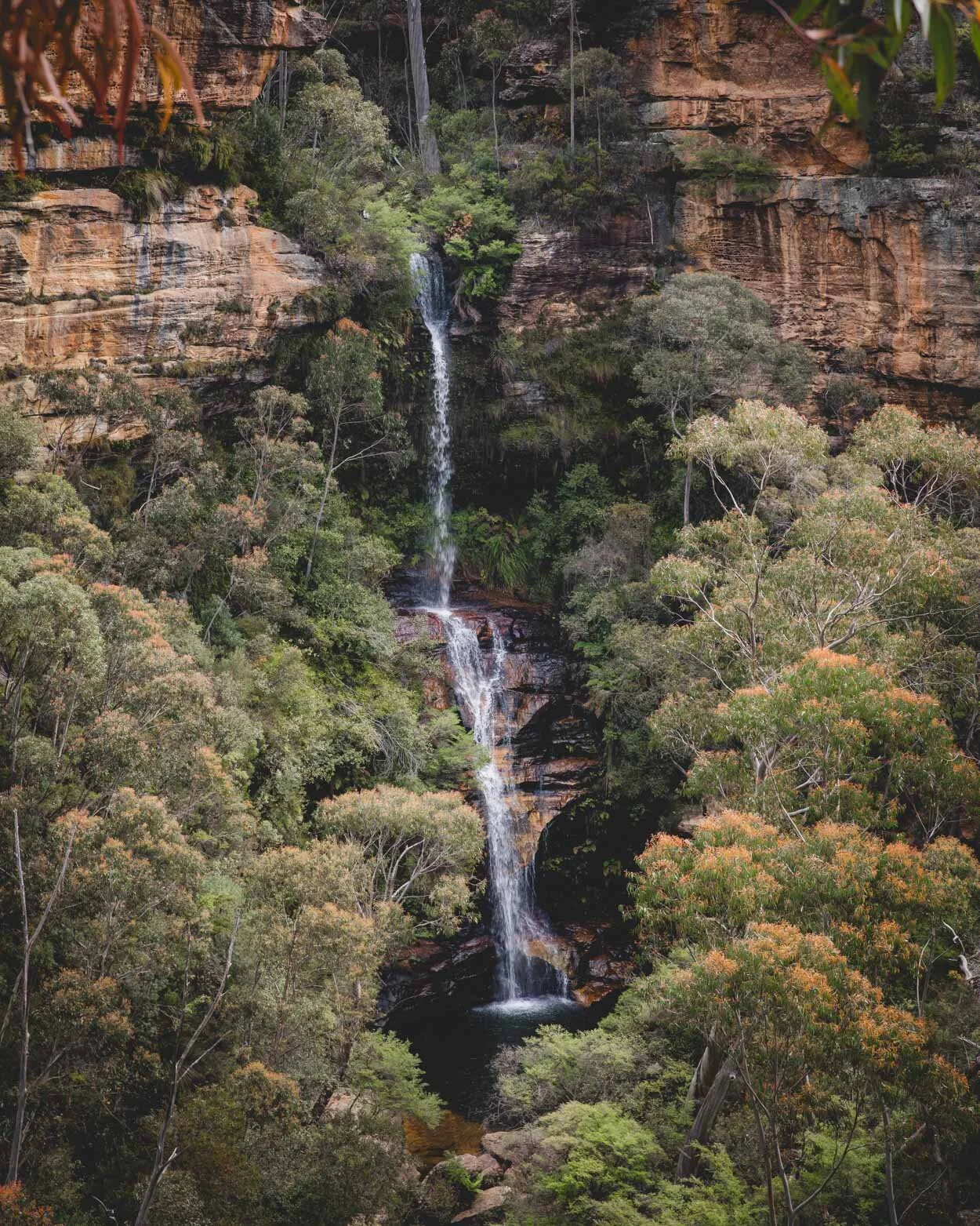 15 Truly Incredible Blue Mountains Wild Swimming Holes — Walk My World