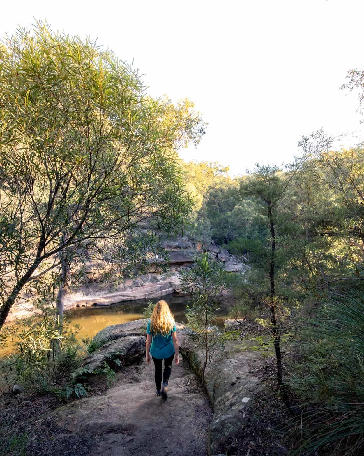 15 Truly Incredible Blue Mountains Wild Swimming Holes — Walk My World