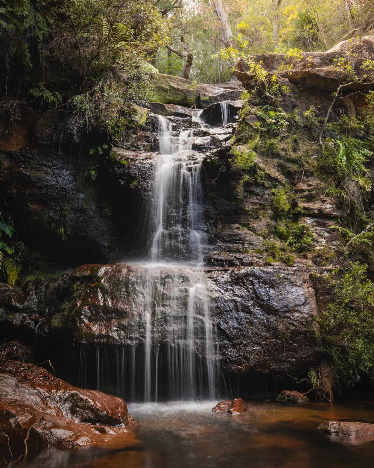 12 Truly Incredible Blue Mountains Wild Swimming Holes — Walk My World