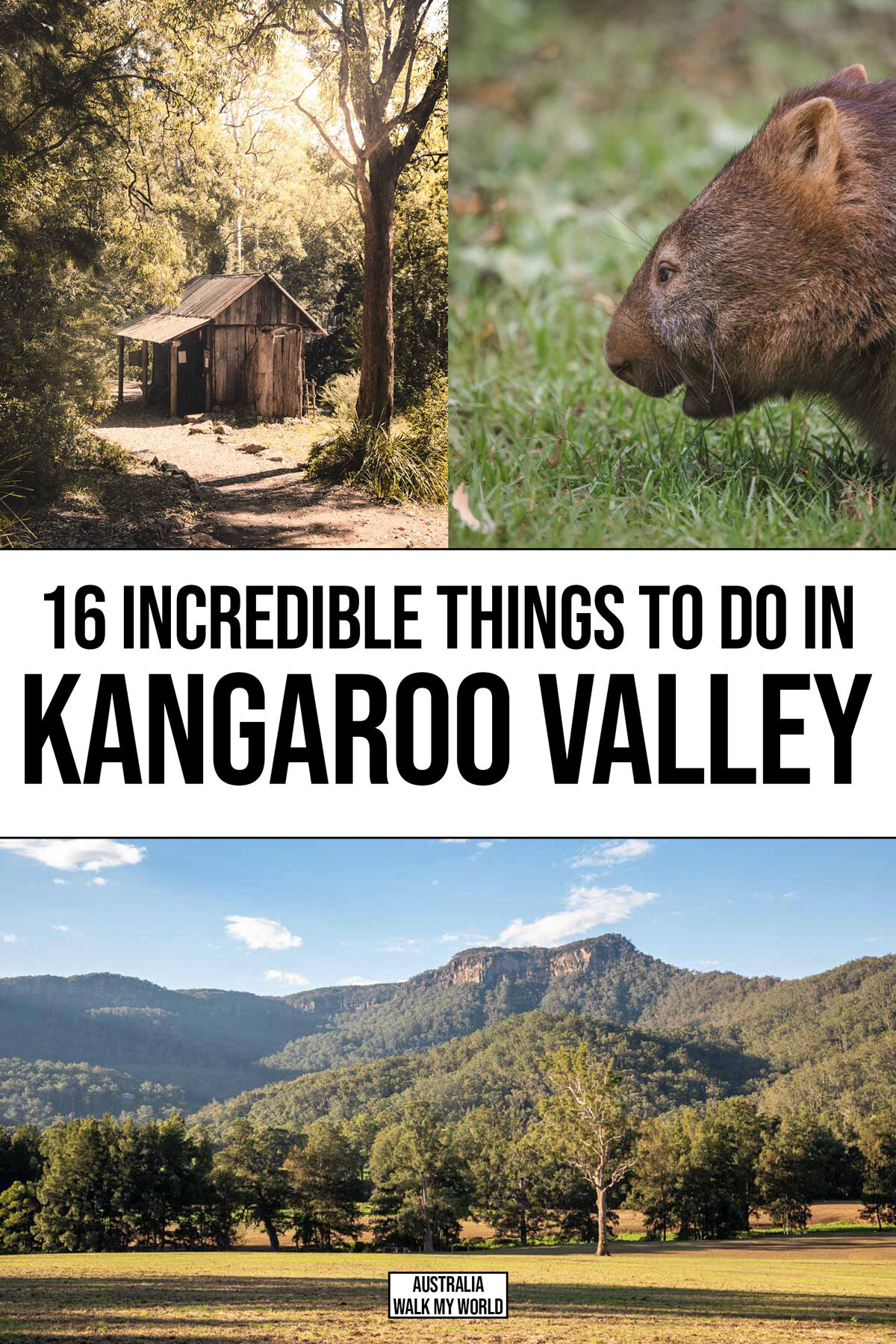 kangaroo valley tour