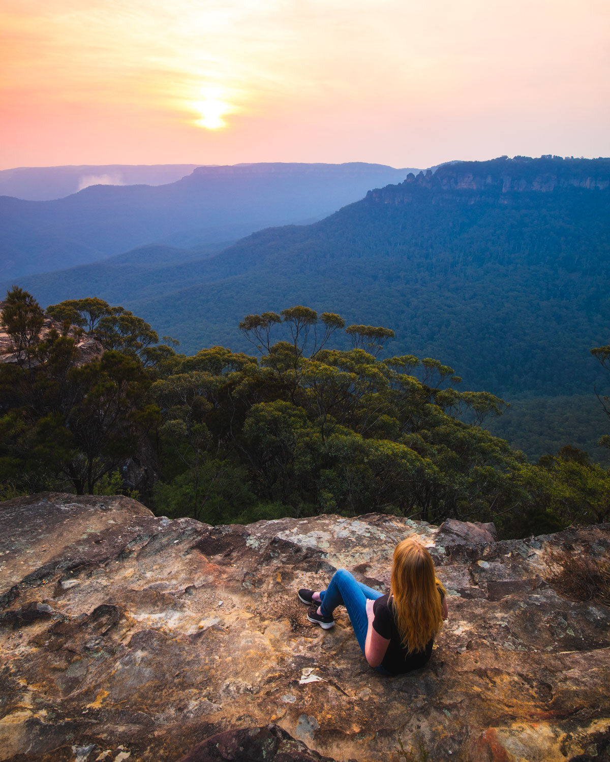 Blue Mountains fireflies: where and when to experience the magic