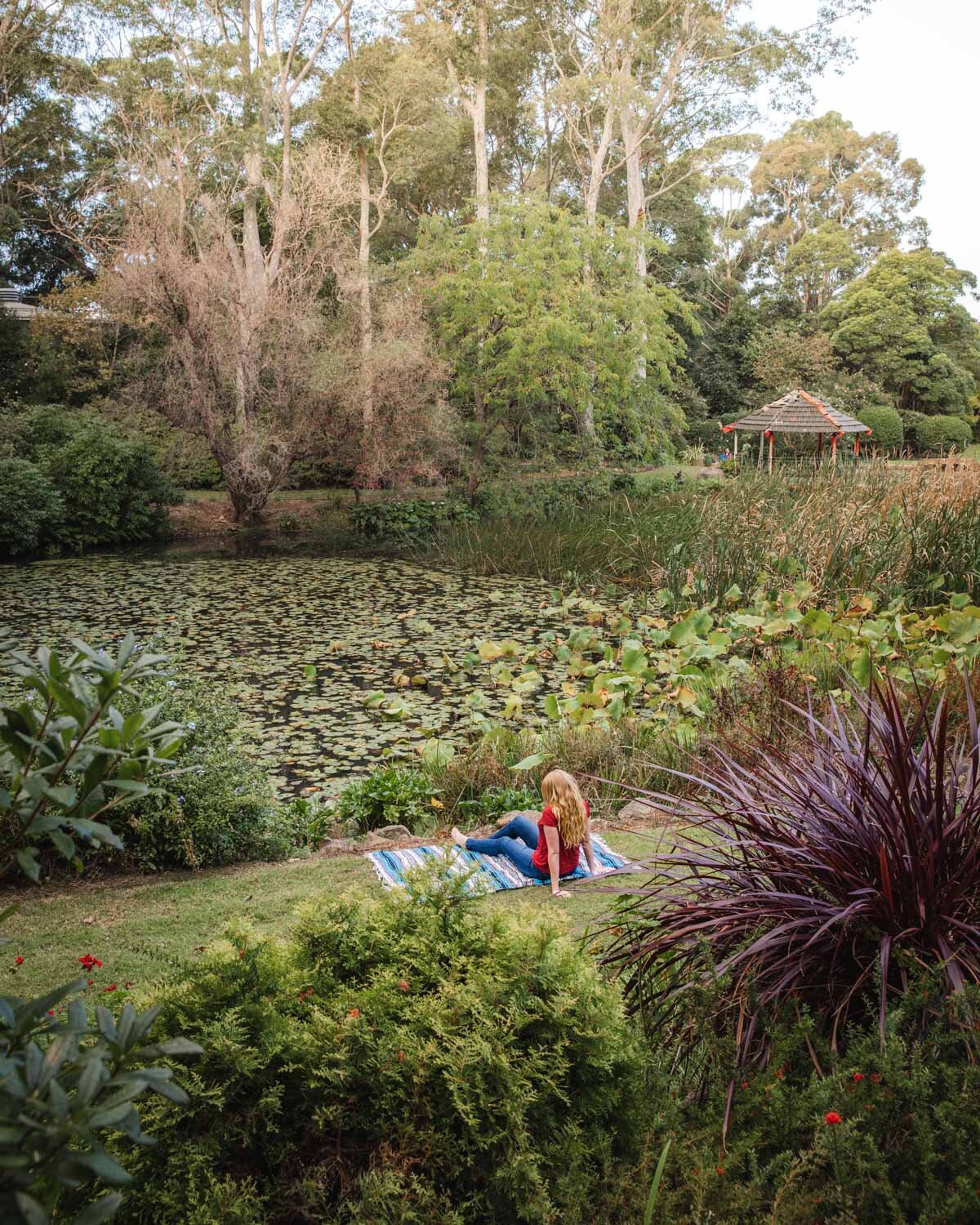 Picnic at the Rhododendron Garden - Wollongong