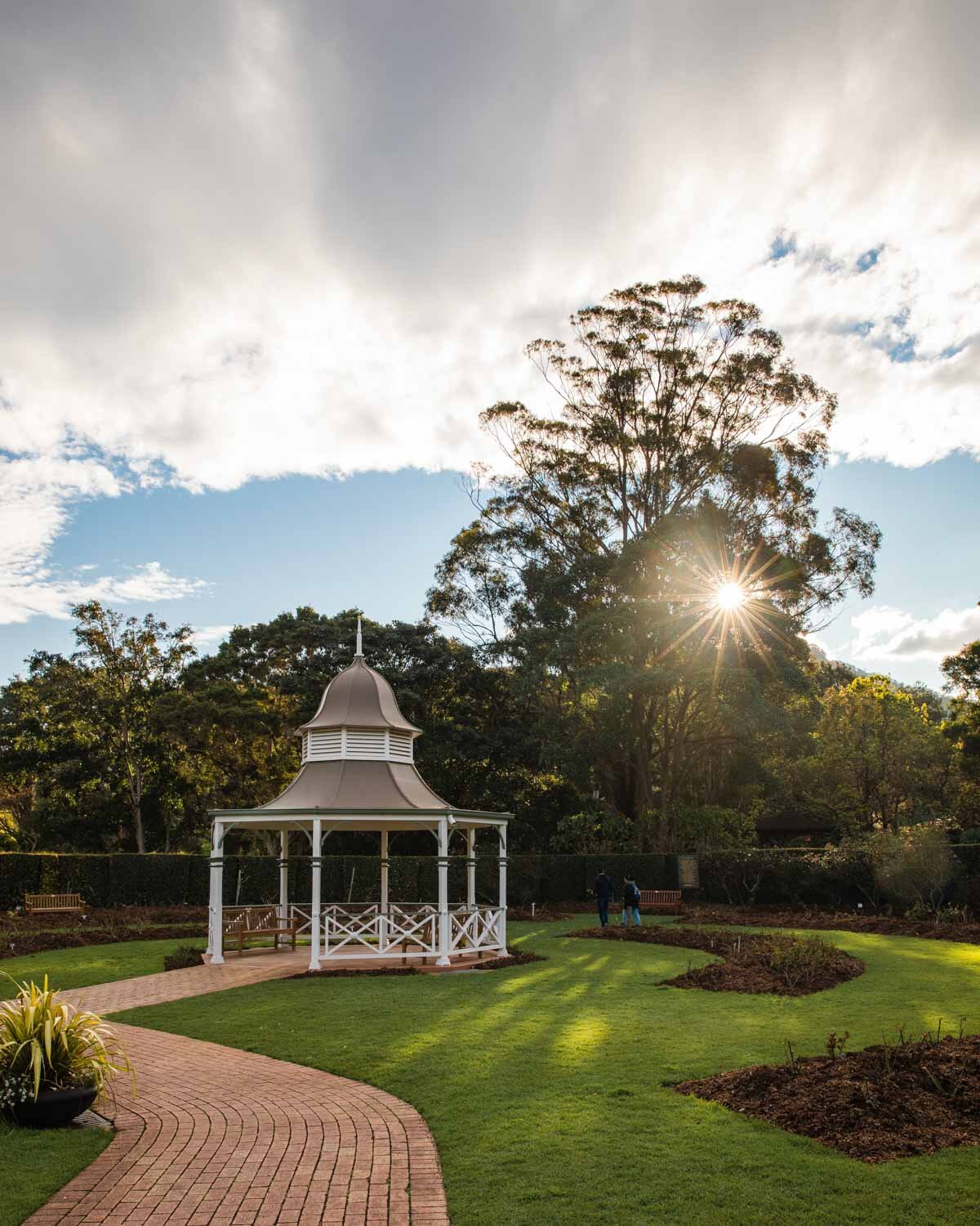 The Botanic Gardens in Wollongong